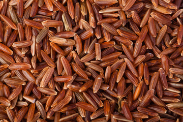 Natural rice Background