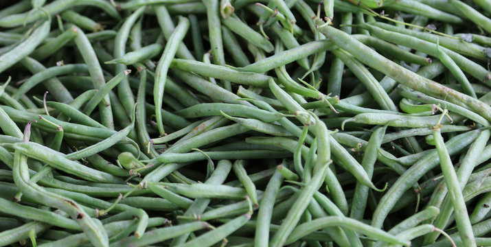 Background of ripe green beans