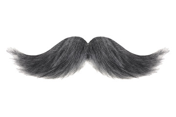 Curly black with grey moustache isolated on white