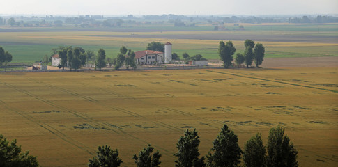 Fototapeta na wymiar cultivated fields in the vast Po Valley in central Italy