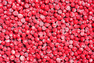 Frozen cranberry