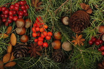 christmas frame