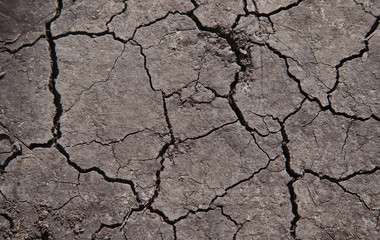 Cracked soil