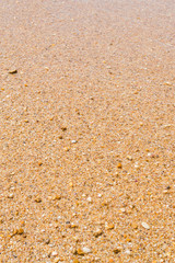 The sea beaches in summer in clear weather