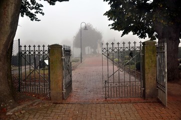 Trübe, neblige Fiedhofstimmung im November auf dem Friedhof