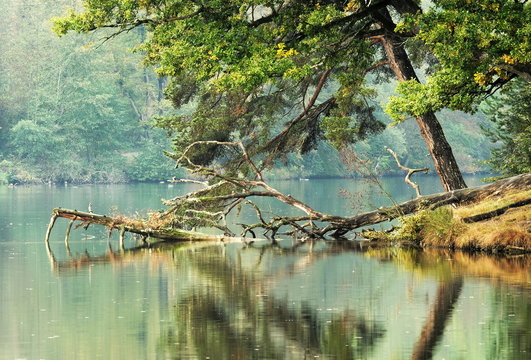 Indian Summer am B&auml;rensee bei Stuttgart