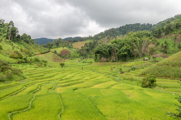 Natural Mountain Huai Nam Khun Village Chiang Rai, Thailand Sep 2016