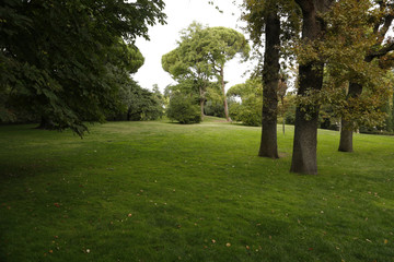 Parque en otoño 2