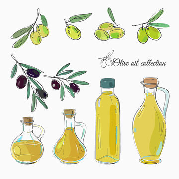 set of black and green olives and bottles of olive oil, freehand vector illustration