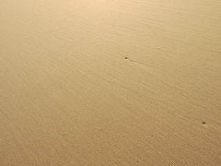 Fototapeta na wymiar Sand texture. Sandy beach for background