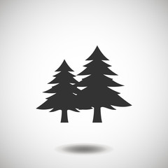 Fir-tree black icon, silhouette and vector logo. Flat isolated element. Nature sign and symbol.