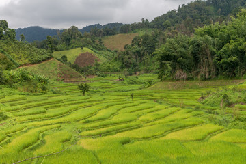 Natural Mountain Huai Nam Khun Village Chiang Rai, Thailand Sep 2016