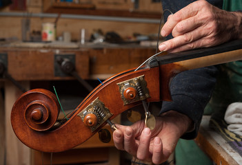 Obraz na płótnie Canvas The violin-maker