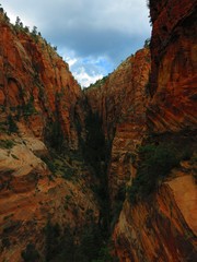 Trail to Angels landing, Zion National Park, USA 