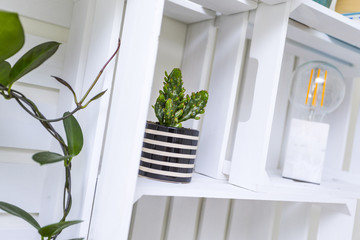 Modern shelf