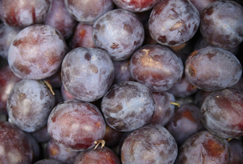 A whole page of ripe purple plums background texture