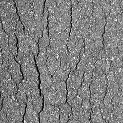 Old worn and cracked asphalt with cracks