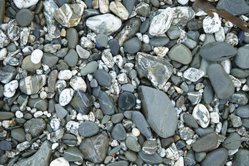 A whole page of pebble beach background texture
