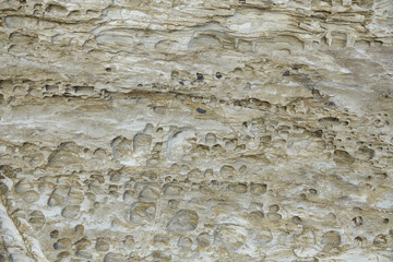 A full page of rough white rock with holes background texture