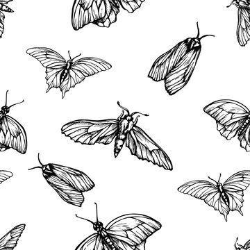 Vector seamless pattern with butterflies. Stylish graphic texture. Monochrome repeating print. Black and white engraving hand-drawn  moths