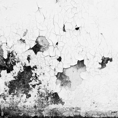 grunge crack concrete hite wall