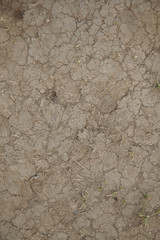 A whole page of dry cracked dirt background texture 