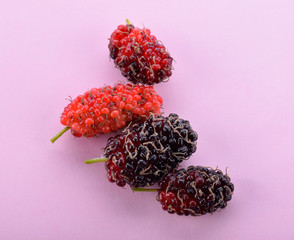 Mulberry four friends on a pink background.