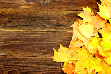 Naklejka na ściany i meble Colorful autumn leaves on a old wooden background