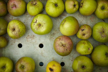 A whole page of a crate of cooking apples background texture