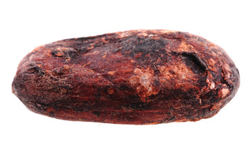 detail of cocoa bean