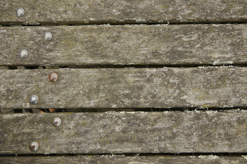 Fototapeta premium A whole page of wooden table with metal bolts background texture