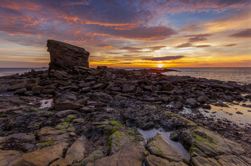 Sunrise over Charlies Garden, and rocks at Collywell Bay, Seaton Sluice, Northumberland, England, UK.