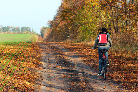 Woman riding a bicycle on a country road. Autumn trees and yellow leaves lay on the ground