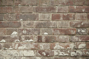 A whole page of rough red brick wall background texture 