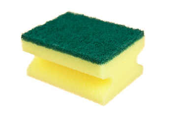 Various sponges