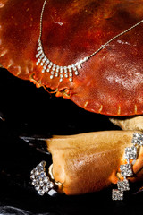 crabe frais avec des bijoux en diamants