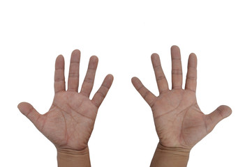 Representation of the two open hands with five fingers. Photograph taken on a white background for easy clipping.