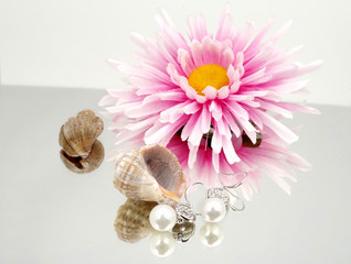 Pearl earrings advertisment - shells and flowers on mirrorlike background