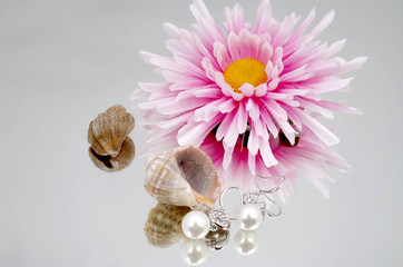 Pearl earrings advertisment - shells and flowers on mirrorlike background