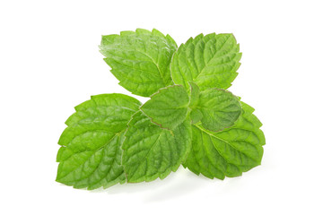Fresh mint leaves isolated on white background