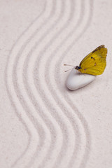 Fototapeta na wymiar An yellow butterfly in a zen garden with white sand