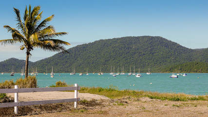 Bucht in Airlie Beach, Queensland in Australien