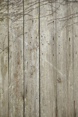 A whole page of old wooden door background texture 