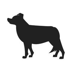 Border collie black silhouette