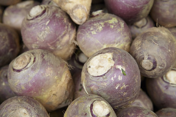 A whole page of turnip vegetable background texture