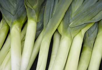A whole page of leek vegetable background texture
