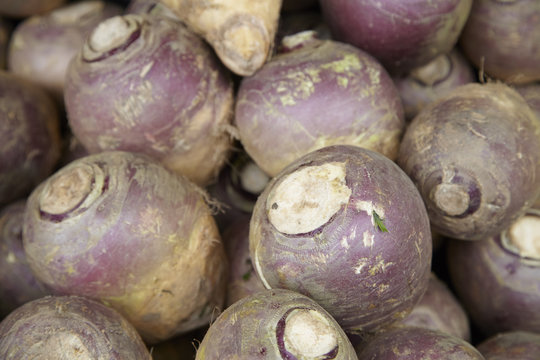 A whole page of turnip vegetable background texture