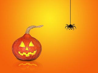 halloween pumpkin with spider