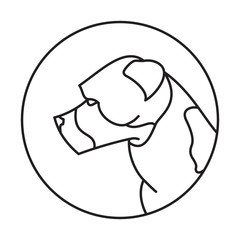 Line head dog american staffordshire terrier