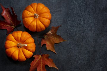 Autumn Background with Pumpkins top down view